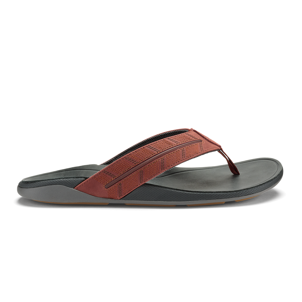 Tuahine Palm - Canoe / Rock | OluKai Men
