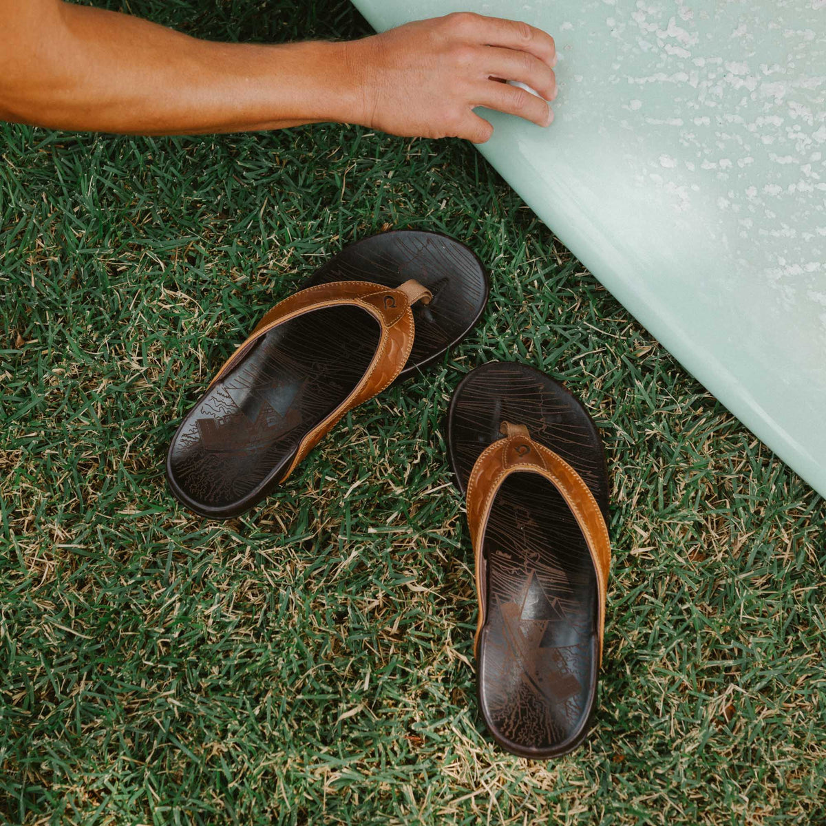 Hikianalia - Tan / Dark Java | OluKai Men