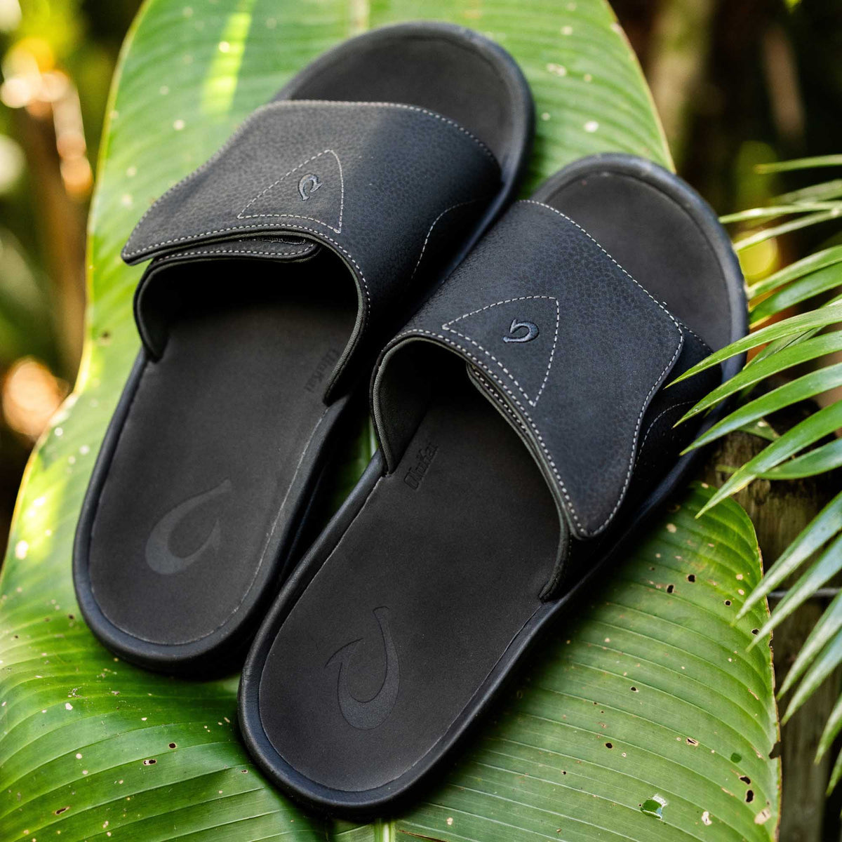Nalu Slide Men's Beach Slide Sandals - Black | OluKai Men
